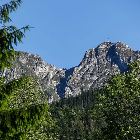 Rent Like - Holny Krzeptowskiego * Zakopane